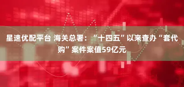 星速优配平台 海关总署：“十四五”以来查办“套代购”案件案值59亿元