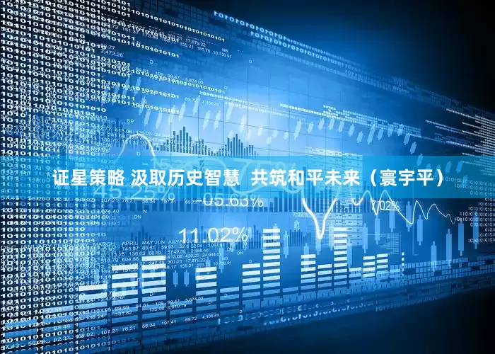 证星策略 汲取历史智慧  共筑和平未来（寰宇平）